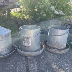 Chicken Feeder $5 