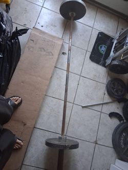 Olympic weight bench and weights for sale