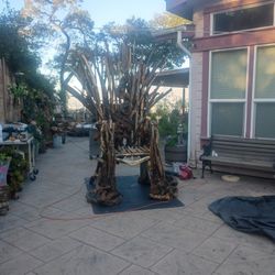Hand Made Throne!
