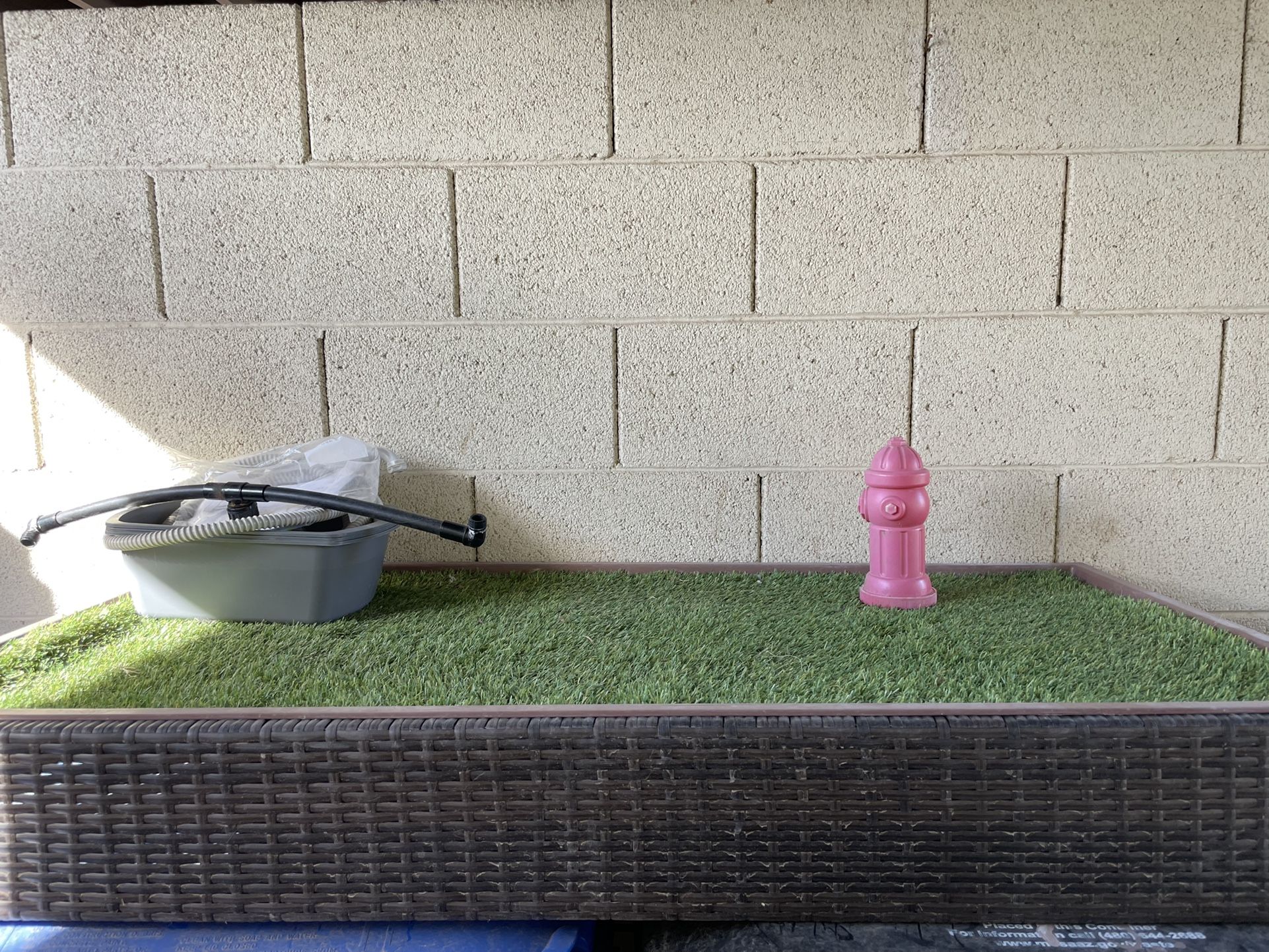 Porch Potty For Dogs