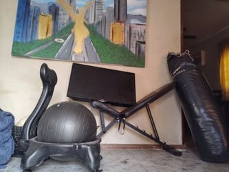Punching bag,  bench press,  ball , tv.....