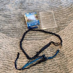 Come With Me harness and Bungee Leash
