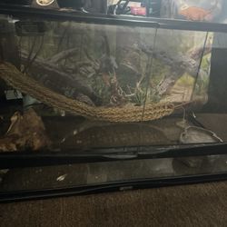 Reptile Enclosure 