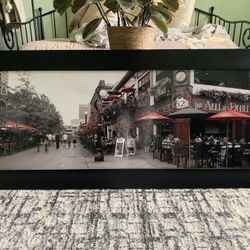 Beautiful Framed  Picture 24x54