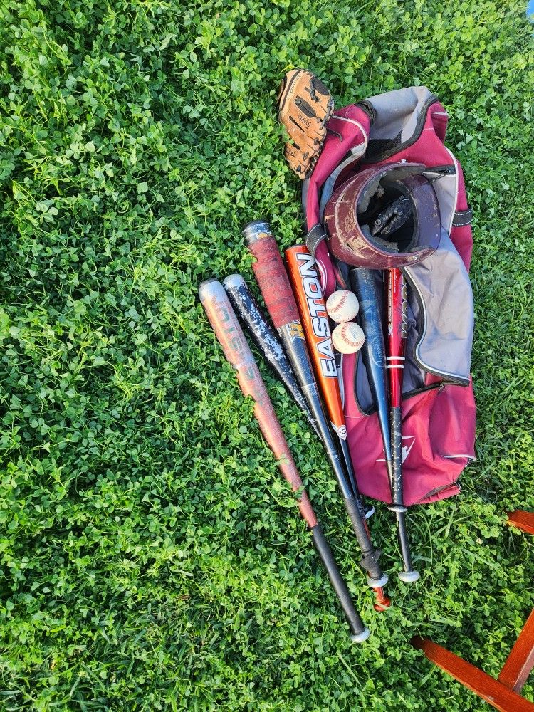 Baseball Bats And Bag