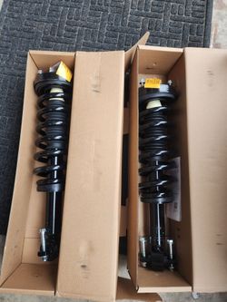 Ford F150 Front Strut Assembly( Brand New)