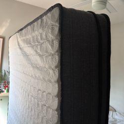 Full Sized Mattress 
