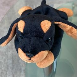 Beanie. Doberman