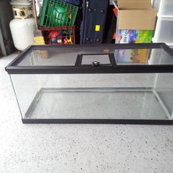 20 Gallon tank with Screen Lid