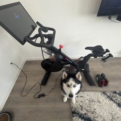 Peloton Bike – Like New – $500 OBO