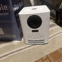 Projector