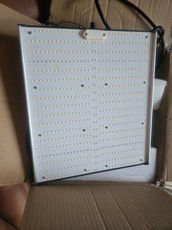 Grow tent lights