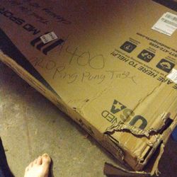 Pro Ping Pong Table