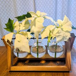 Plant Propagation Hanger