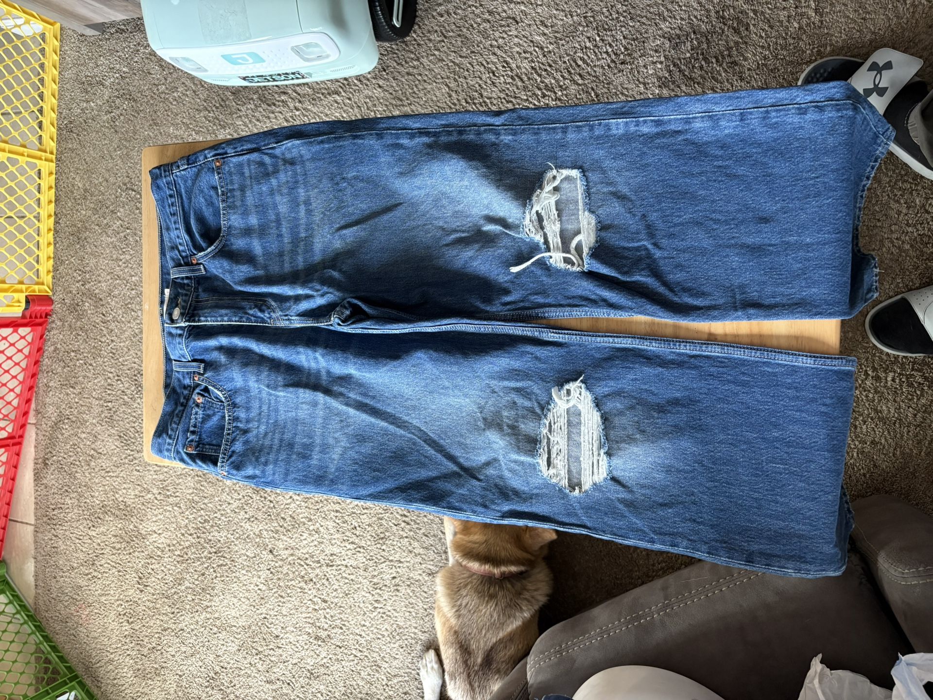 Levis Strauss & Company Womens jeans, low pro straight - OBO