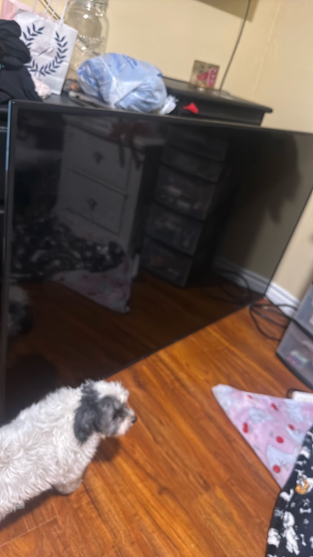 75 Inch Tv Vizio