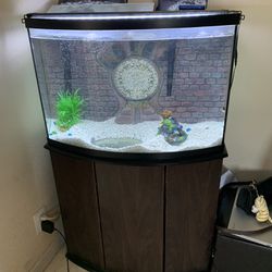 Fish tank with Stand 