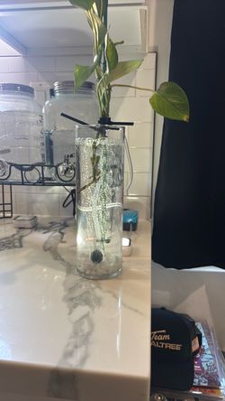 Hydro plant set ups