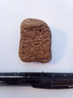 A rock