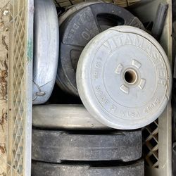 Weights , Bar, And Bench