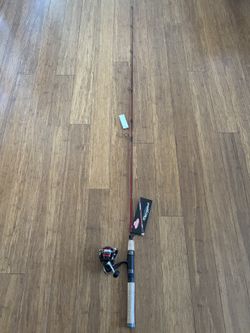 Berkeley Rod Shimano Sienna Reel 