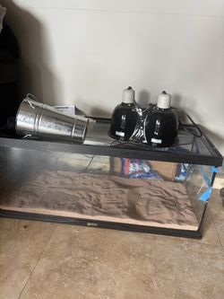 20 gallon tank
