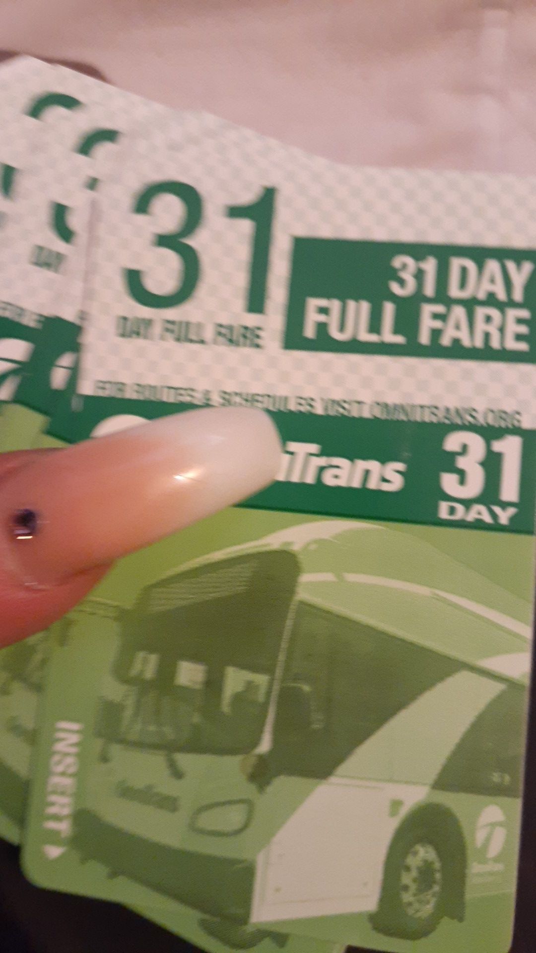 bus pass 31 day