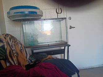 40 gal fish tank