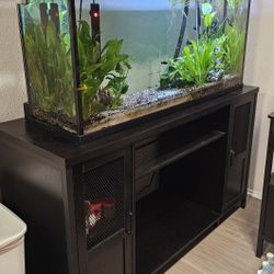 55 Gallon Aquarium And Stand