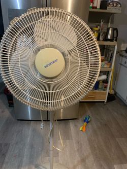 Fan