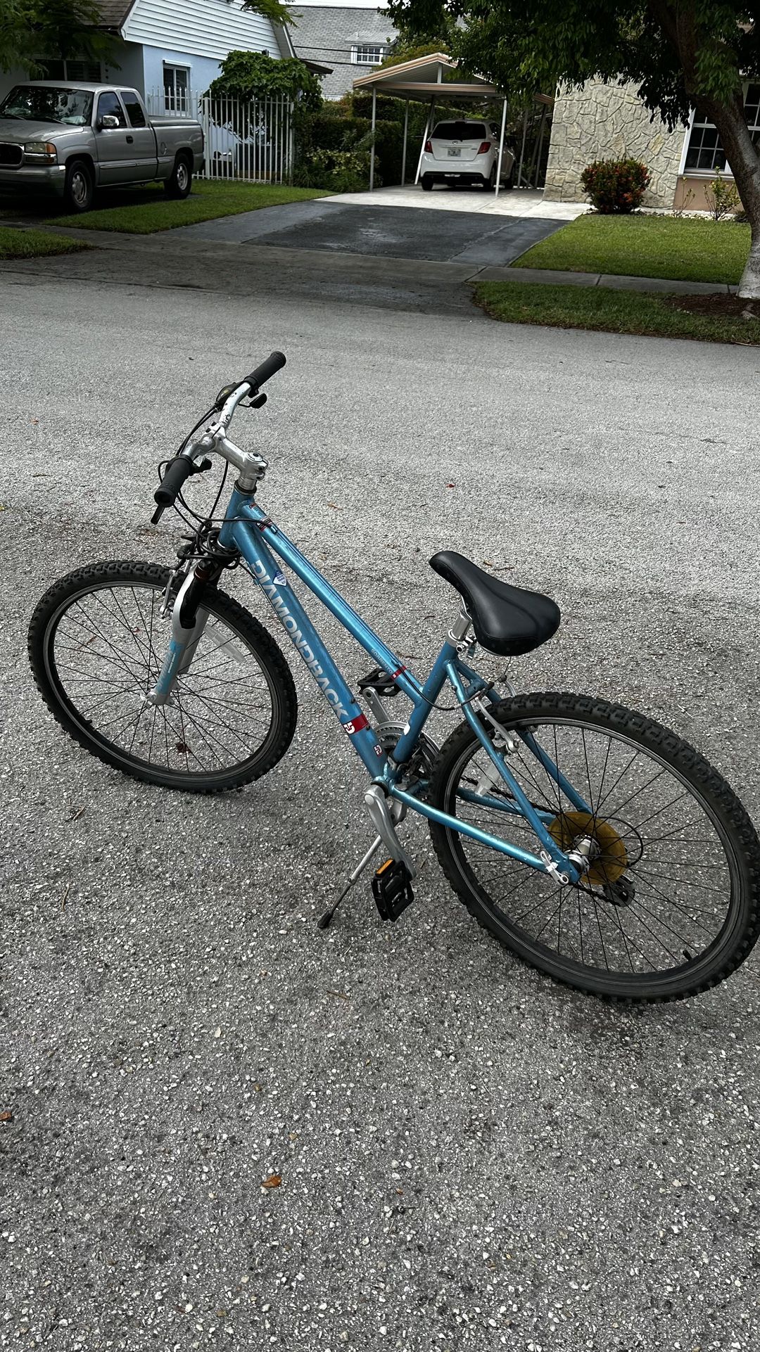 Diamondback Mountain Bike