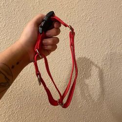 Martingale Collar