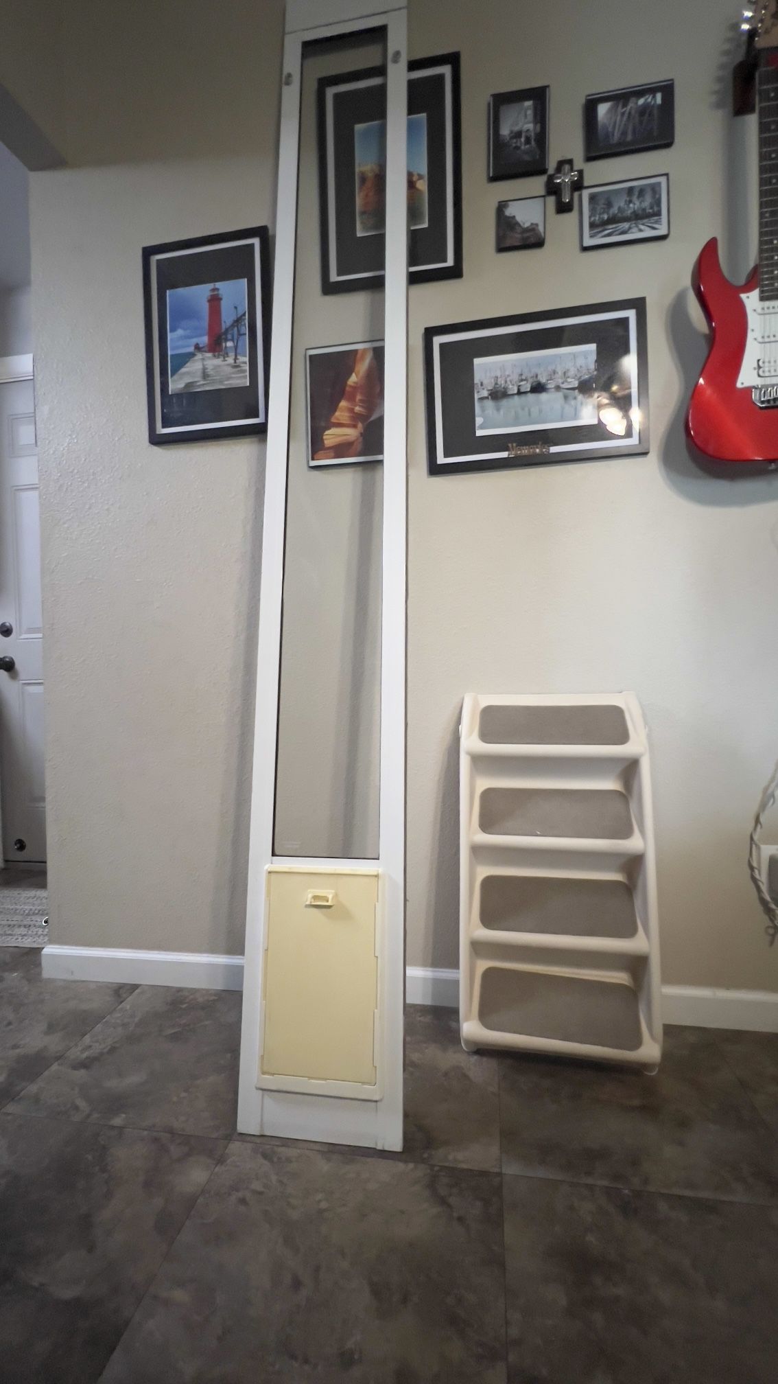 Pet Door And Stairs