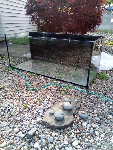 150 Gallon Tank