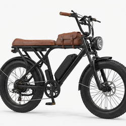 Mini swell Hurley X electric bike that cots 2000 but letting it go for 350 details in.  The description