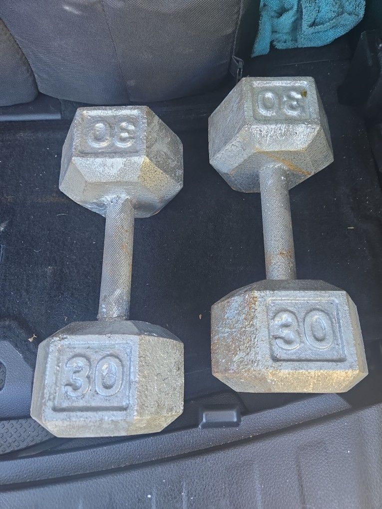 30 Pound Dumbells