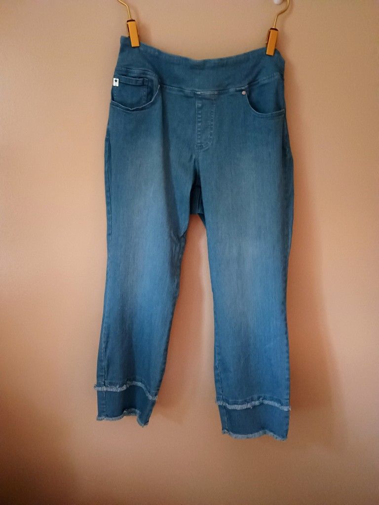QVC Kim Gravel Triple luxe Size 16 Denim Wash Straight Leg Jean With Fringe Accent