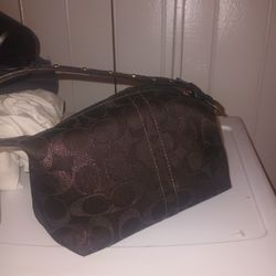 Mini Coach Purse 