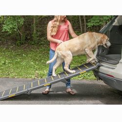 Collapsible Dog Ramp