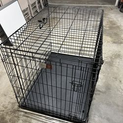 Midwest Life Stages 1642 Single Door Folding Dog Crate