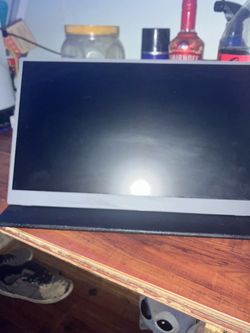 Portable monitor