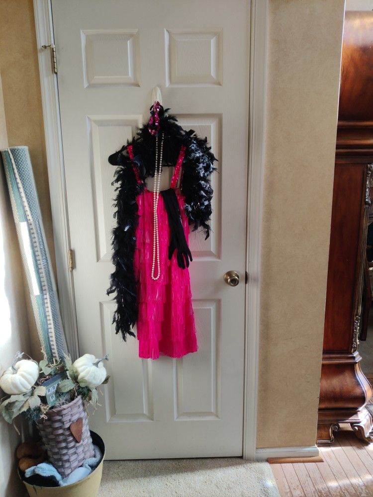 Flapper Costume. Used 1 Time