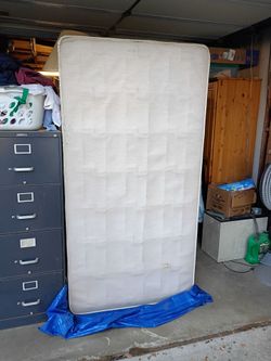 Twin box spring for free.