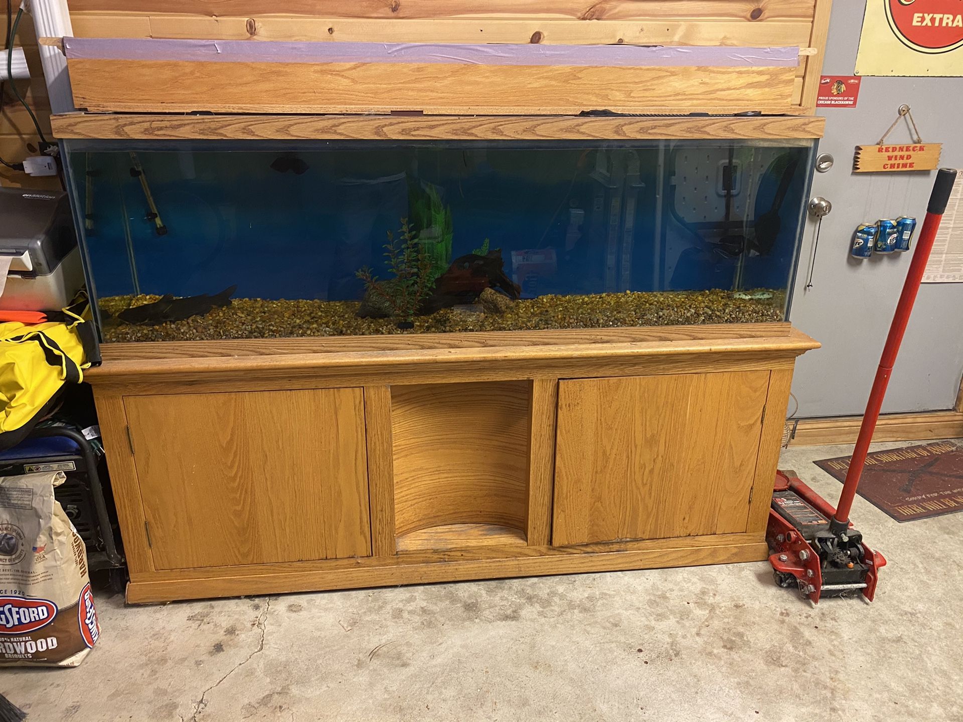 125 gallon aquarium