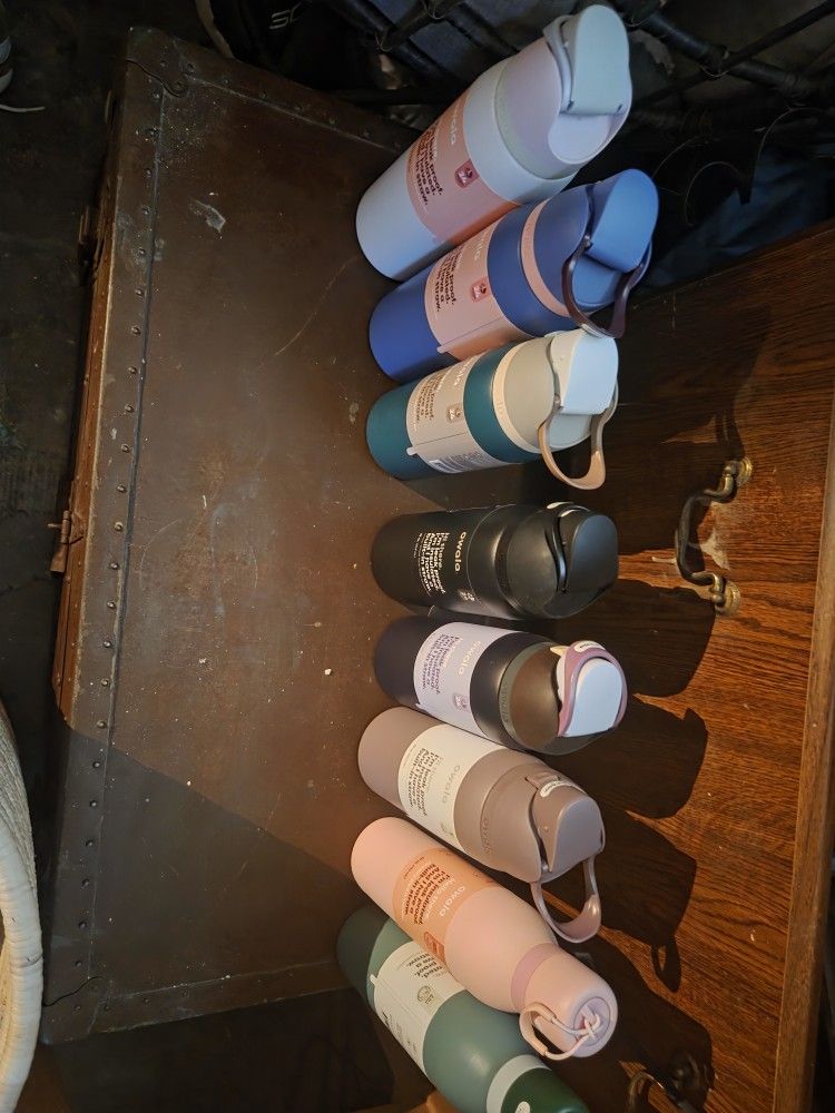 Insulated Cups 