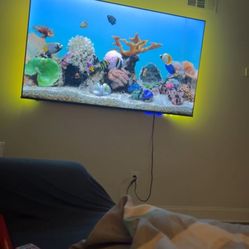 70in Tv With Led 