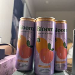 5 Cans Of Bloom
