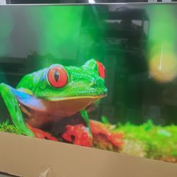 Hisense 75 Inch Class U6H Series Quantum ULED 4K Smart Google TV