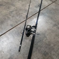 Saltwater Fishing Rod And Reel for Sale in Everett, WA - OfferUp