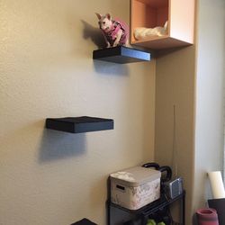 Wall Box And 3 Cat Shelves